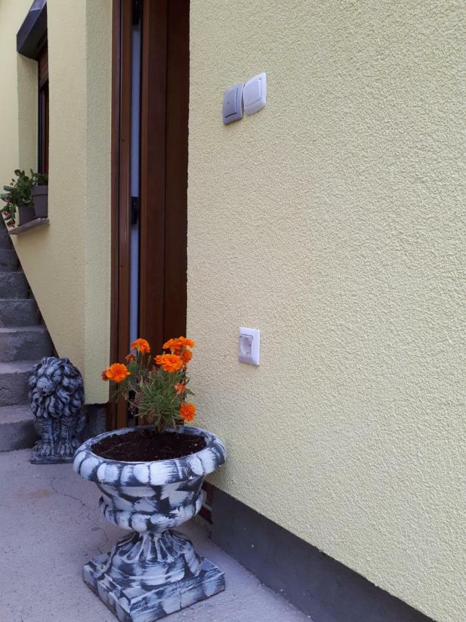 Apartment Dujica Senj  Ngoại thất bức ảnh